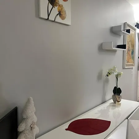 Elegant Near Transport And Terrace *
